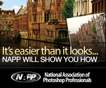 Join NAPP for exclusive member benefits and discounts Join the National Association of Photoshop Professionals